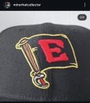 New era milb Erie SeaWolves