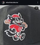 New era milb Erie SeaWolves