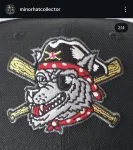 New era milb Erie SeaWolves