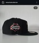 New era milb Erie SeaWolves