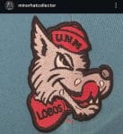 New era ncaa university of new mexico Lobos