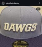 New era ncaa Washington huskies