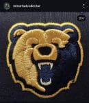 New era ncaa morgan state bears