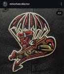 New era milb fayettevile woodpackers