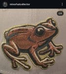 New era milb leigh Vally Iron Pigs