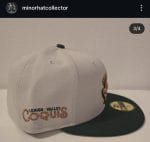 New era milb leigh Vally Iron Pigs