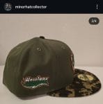 New era milb Erie SeaWolves