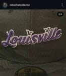 Loiusville milb bats