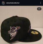 Loiusville milb bats