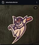 Loiusville milb bats