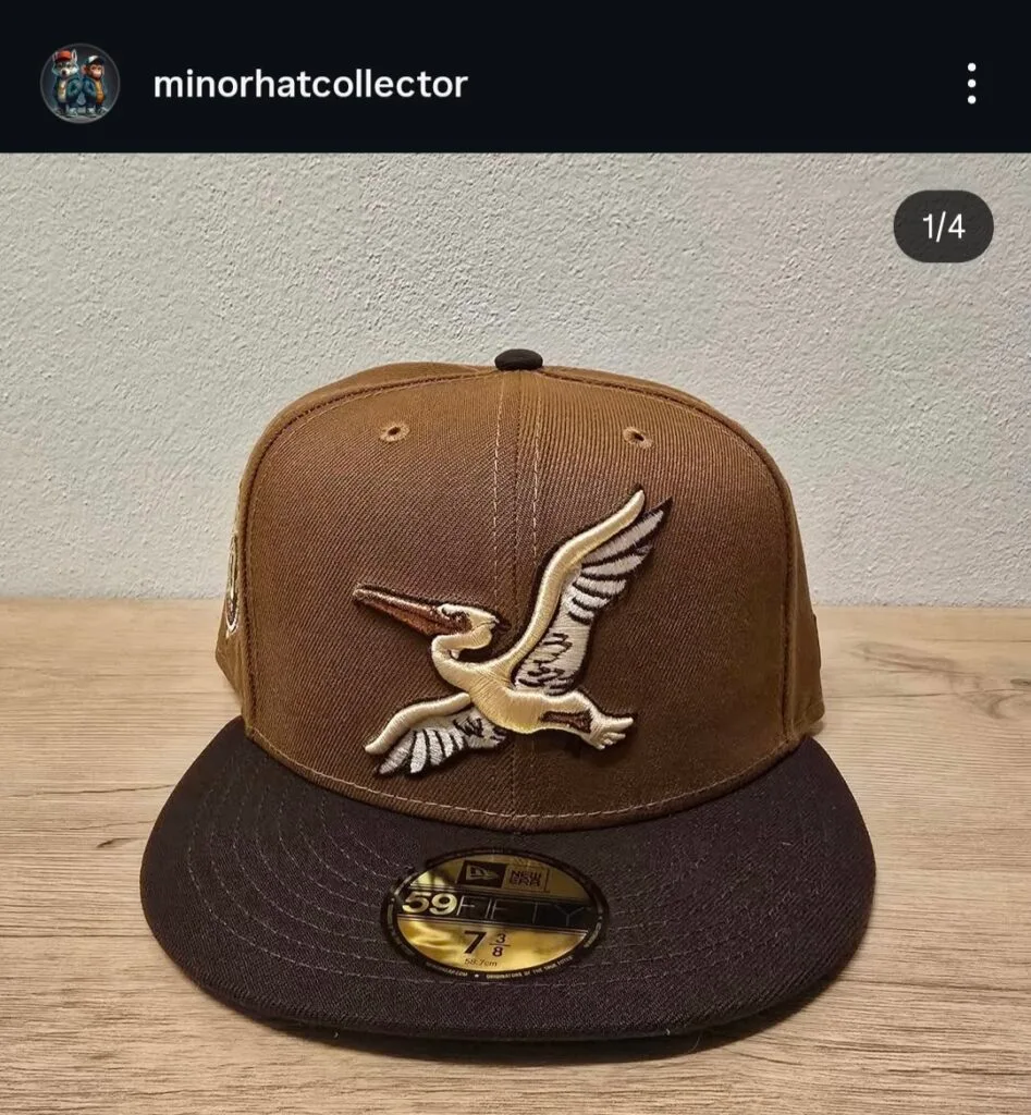 New era milb x myrtle beach pelicans