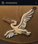 New era milb x myrtle beach pelicans