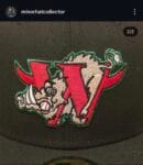New era milb x Winston- Salem warthogs