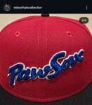 New era milb x pawtucket paw sox