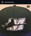New era milb x southwest michigan devilrays