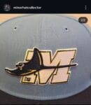 New era x southwest michigan devilrays