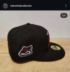 New era milb xrichmond flying squirrels