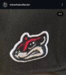 New era milb xrichmond flying squirrels
