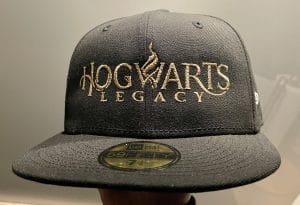 Hogwarts Legacy – custom by FrenchFitteds