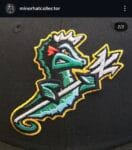 New era milb x norfolk tides