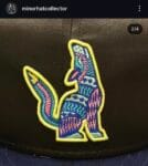 New era milb x hillsboro Hops Copa