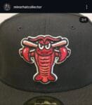 New era milb x hickory crawdas