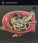 New era milb x greenville hornets