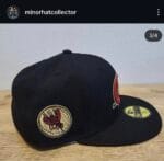 New era milb x greenville hornets