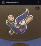 New era milb x medicine hat blue jays