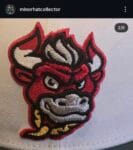 New era milb x winstom – salem dash