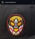 New era milb x reading fighting phils