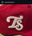 New era milb x tennessee smokies