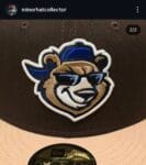 New era milb x daytona cubs