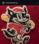 New era molb x erie seawolves