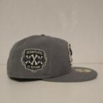 New era milb x erie seawolves Theme night Frankenwolf