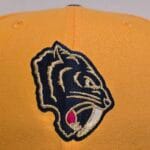 New era nhl x nashville Predators