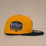 New era nhl x nashville Predators