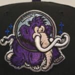 New era milb x erie seawolves Theme Night