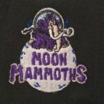 New era milb x erie seawolves Theme Night