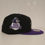 New era milb x erie seawolves Theme Night