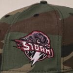 New era milb x lake elsinore storm